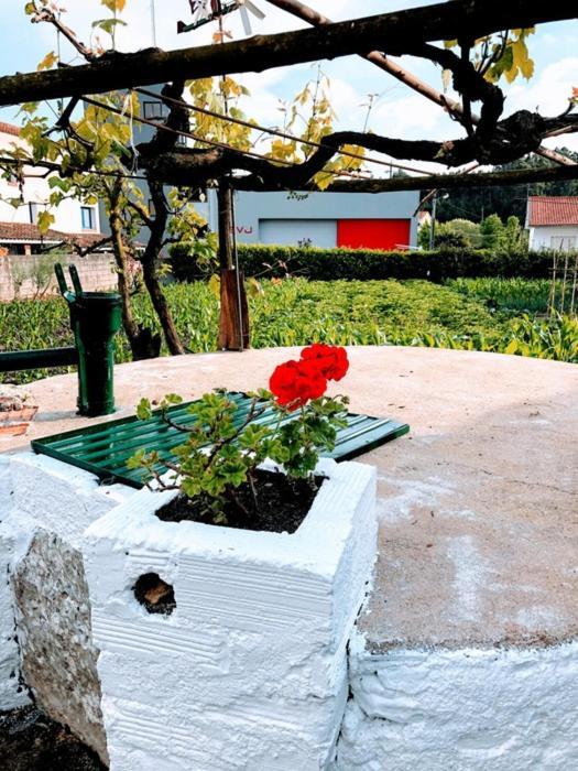 Apartamento Casinha da Avó Rosário Juncal  Exterior foto